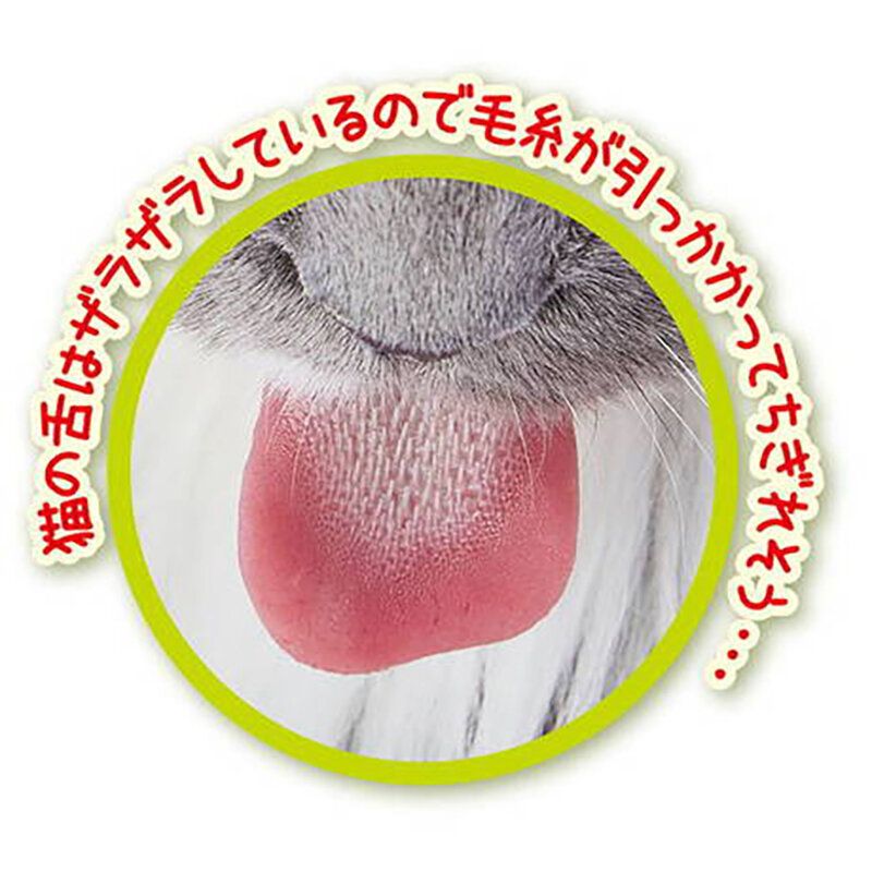 Petio - 沙沙發聲公仔逗貓棒
  (迷你鰻魚)  (91603343)