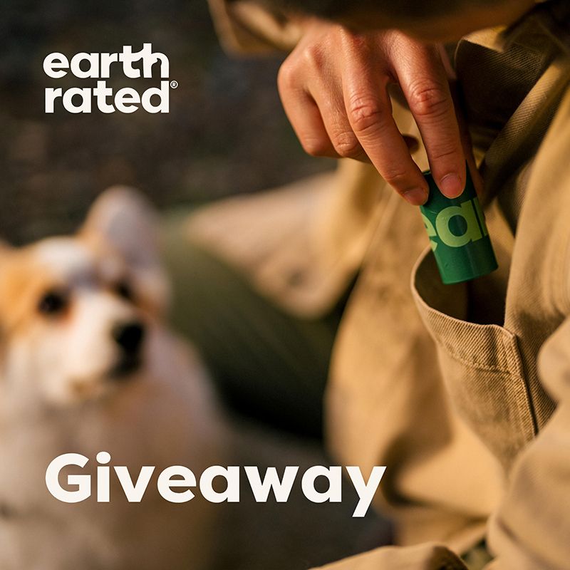 Earth Rated - 60個可降解撿便袋   (4卷補充裝) - 無香味  (91603414)