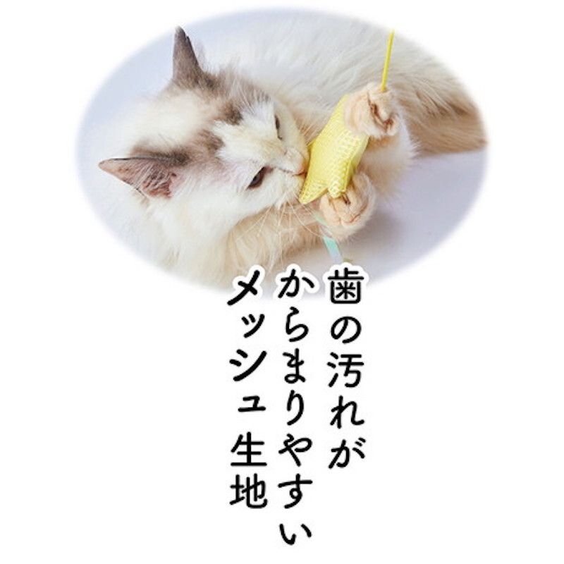 Petio - Add.Mate 趣味潔齒逗貓棒 (含木天蓼)星星  (91603506)