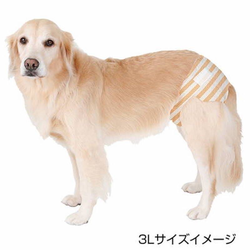 Petio - zuttone高齡犬護理專用紙尿片 2L 12片 (狗囡)  (91603515)