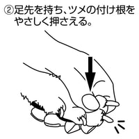 Petio - Self Trimmer 日本製職人手工製 犬用半圓刀刃指甲剪  (91603586)