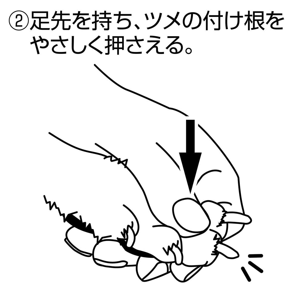 Petio - Self Trimmer 日本製職人手工製 犬用半圓刀刃指甲剪  (91603586)
