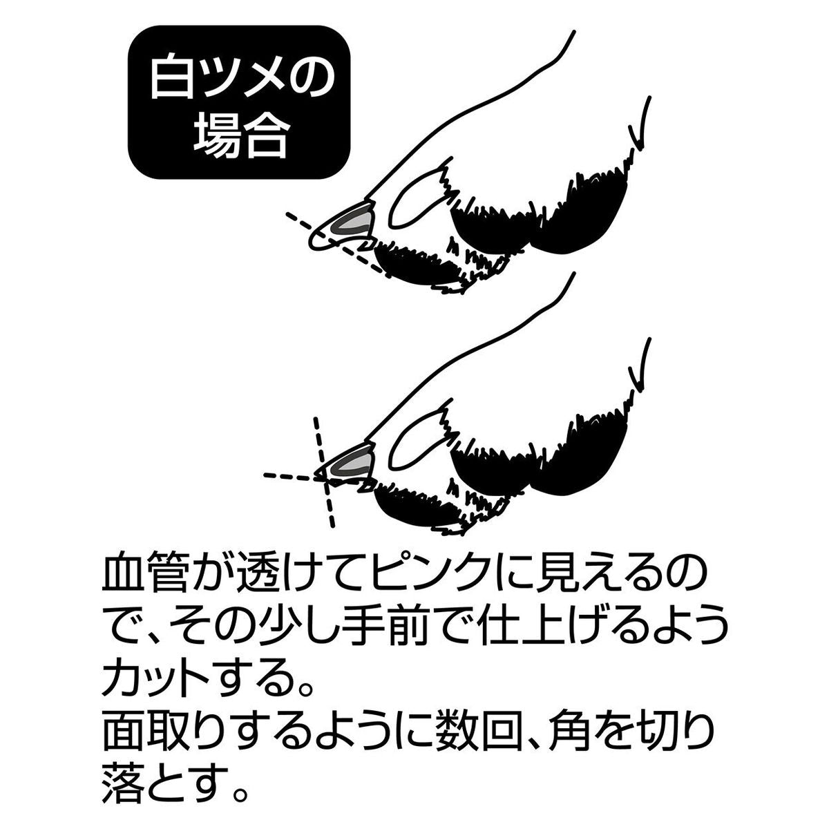 Petio - Self Trimmer 日本製職人手工製 犬用半圓刀刃指甲剪  (91603586)