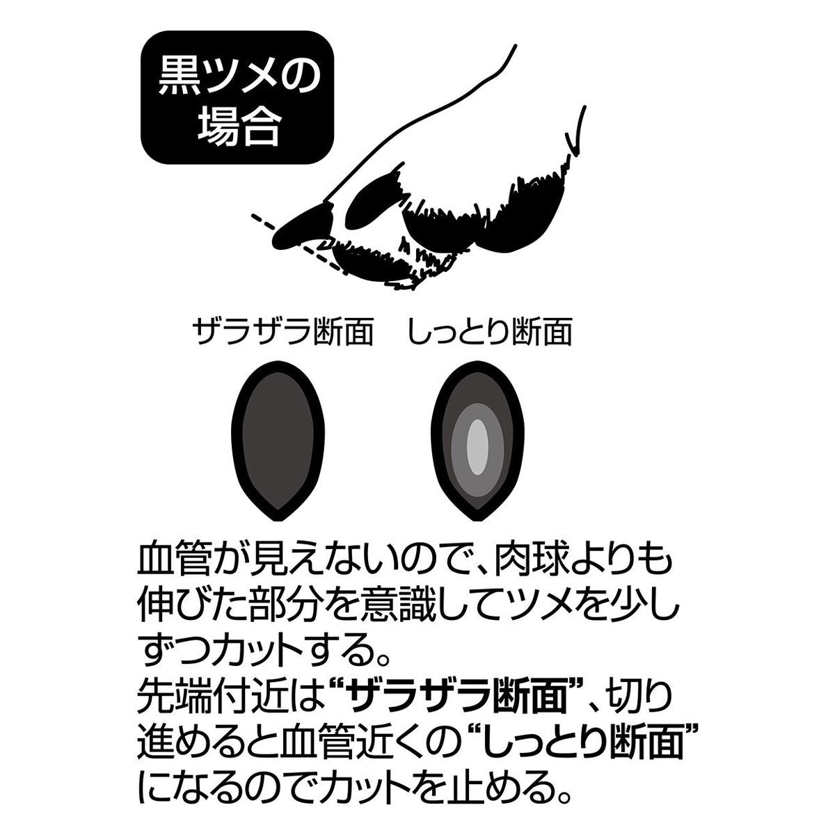 Petio - Self Trimmer 日本製職人手工製 犬用半圓刀刃指甲剪  (91603586)