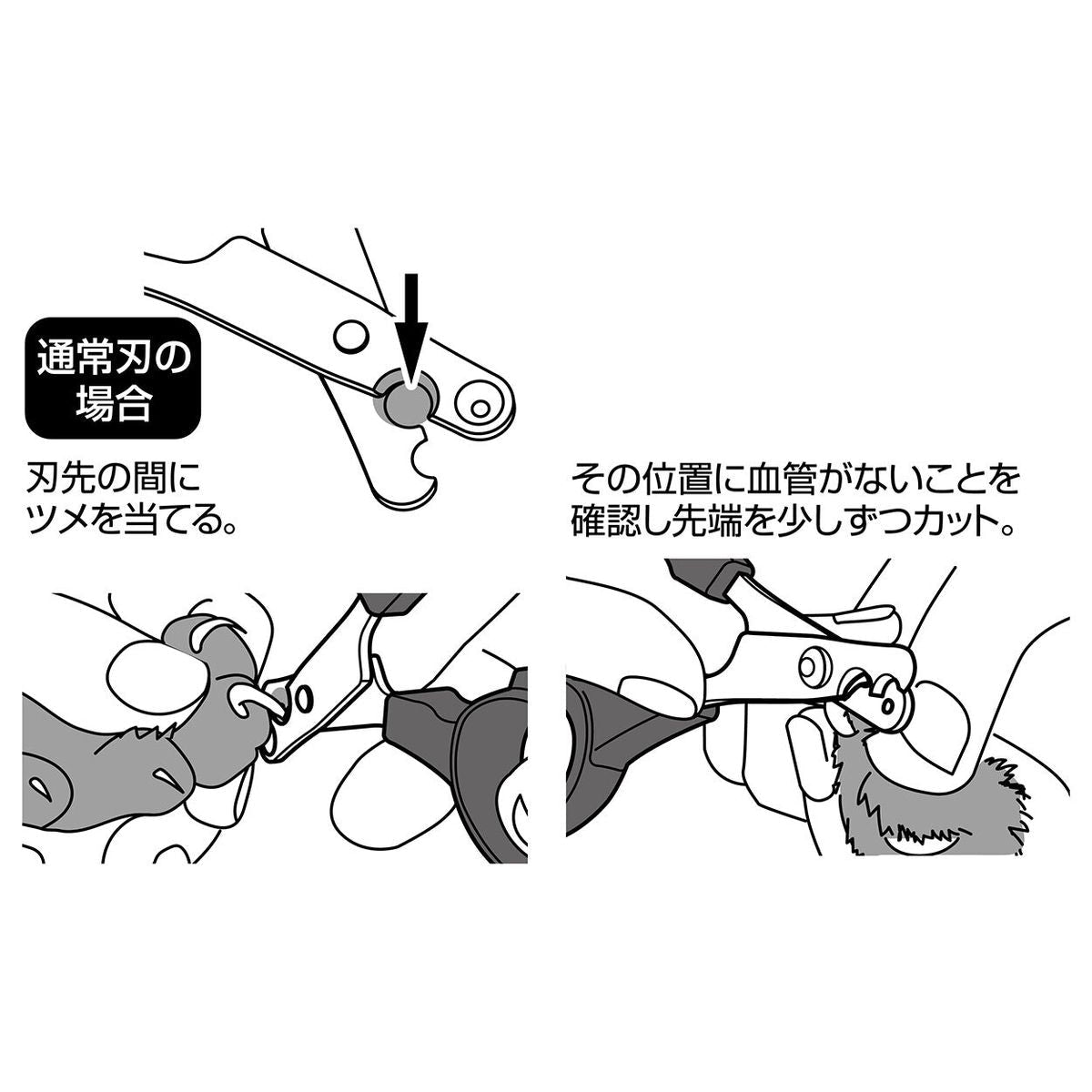 Petio -  Self Trimmer 日本製職人手工製 貓用雙刃指甲剪 防深剪設計  (91603587)