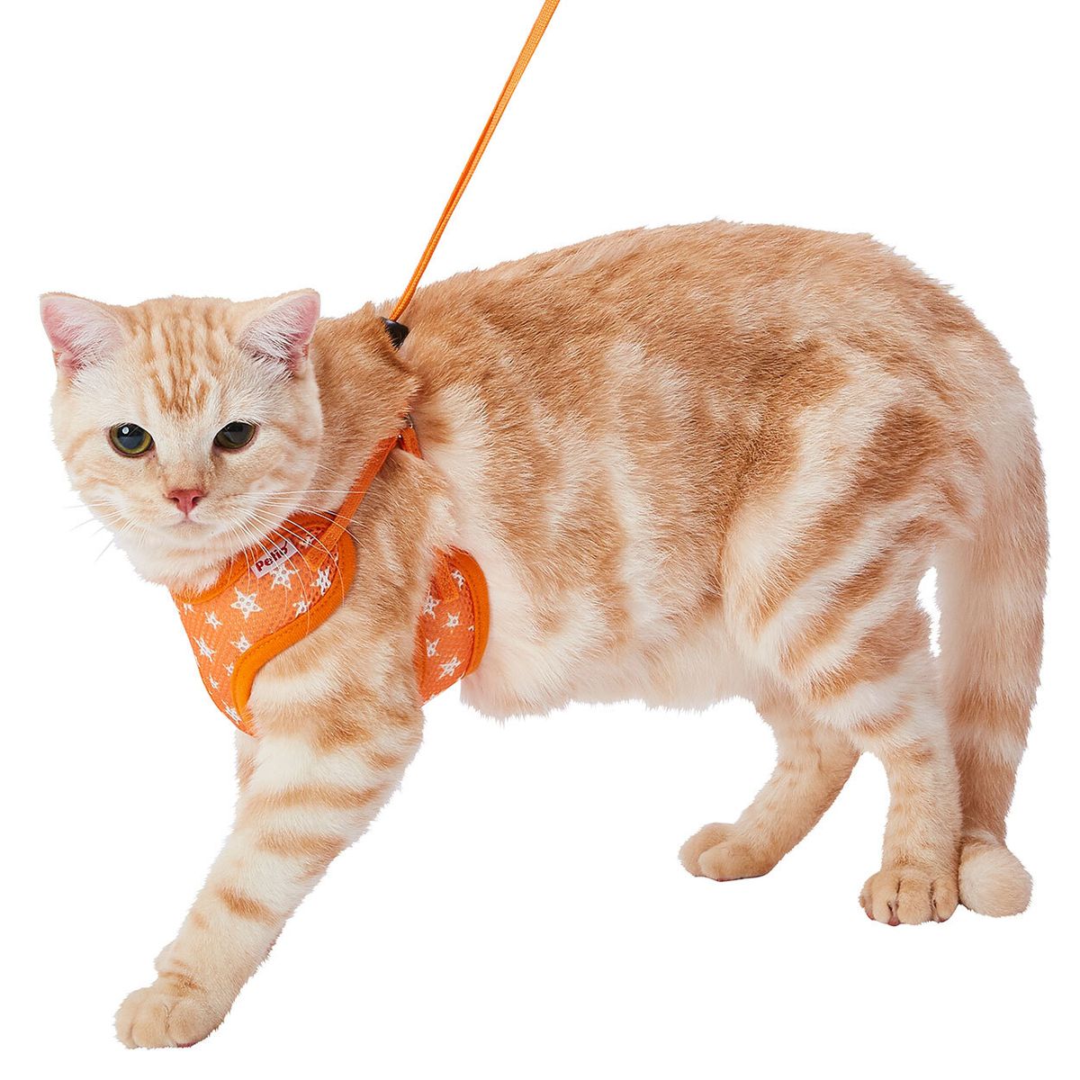 Petio -  貓用可調節胸帶牽引繩 橙色 (適合初次使用)  (91603631)