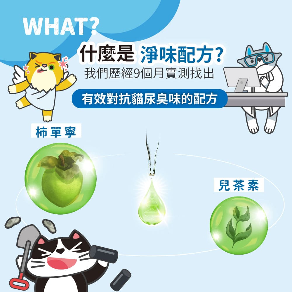 ODOUT - 臭味滾 沛點炭強效除臭粒 (80g) (91603845)