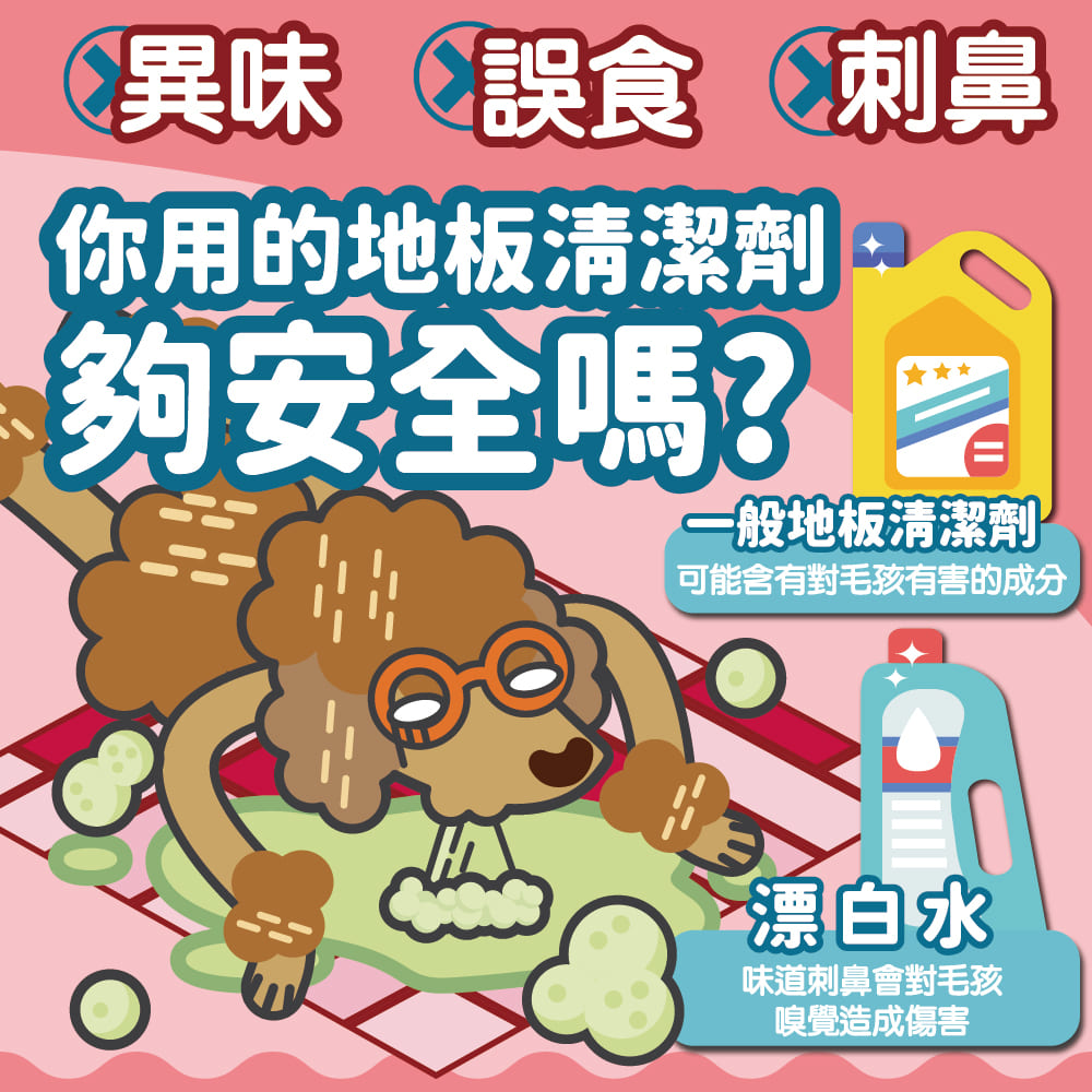 ODOUT - （狗用）地板清潔劑 (1L) X 12件 (91603850X12)
