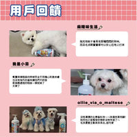 ODOUT - （狗用）地板清潔劑 (1L) (91603850)