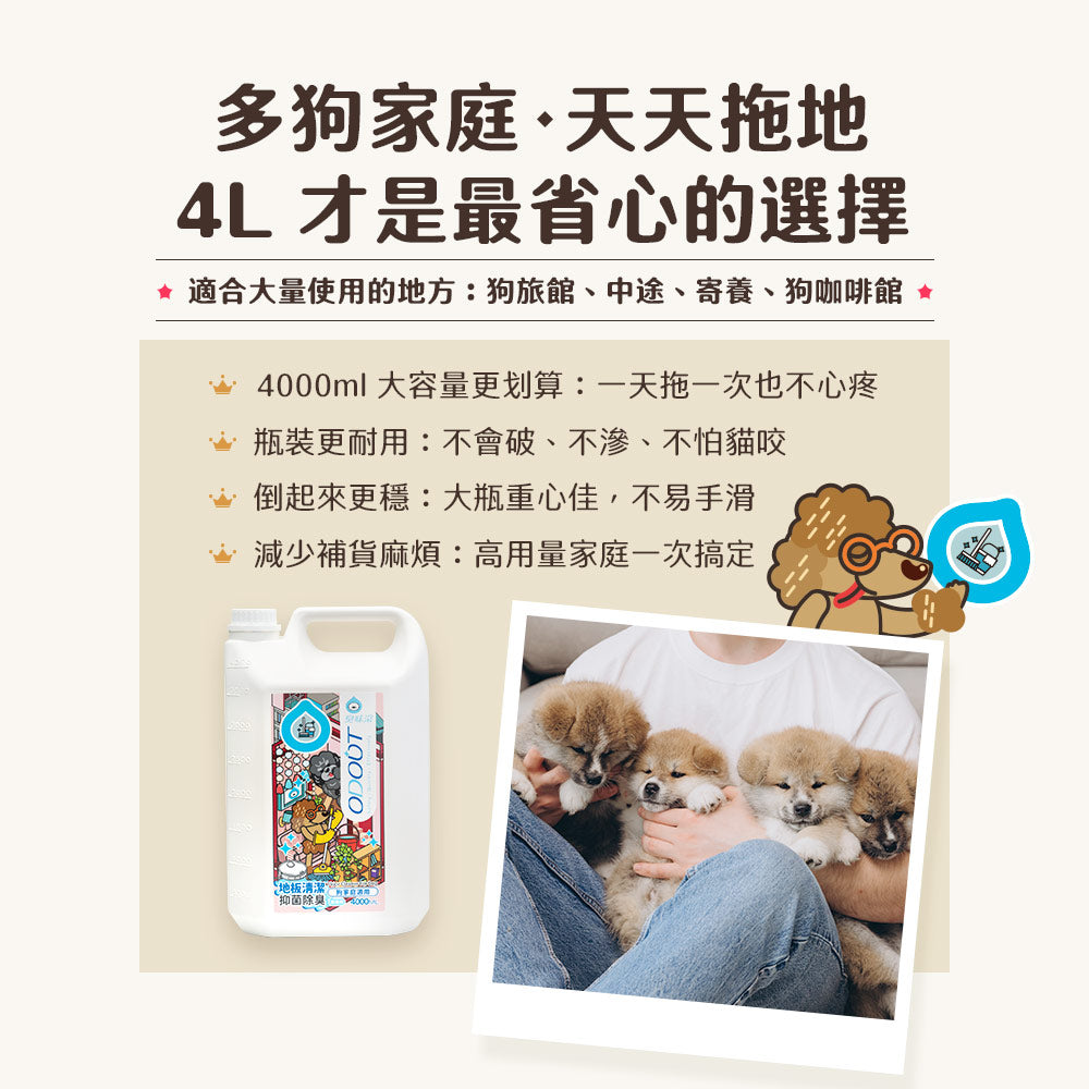 ODOUT - （狗用）地板清潔劑 (4L) X 3件 (91603851X3)