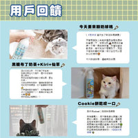 ODOUT - （貓用）除臭/抑菌噴霧瓶 (0.5L) X 20件 (91603857X20)