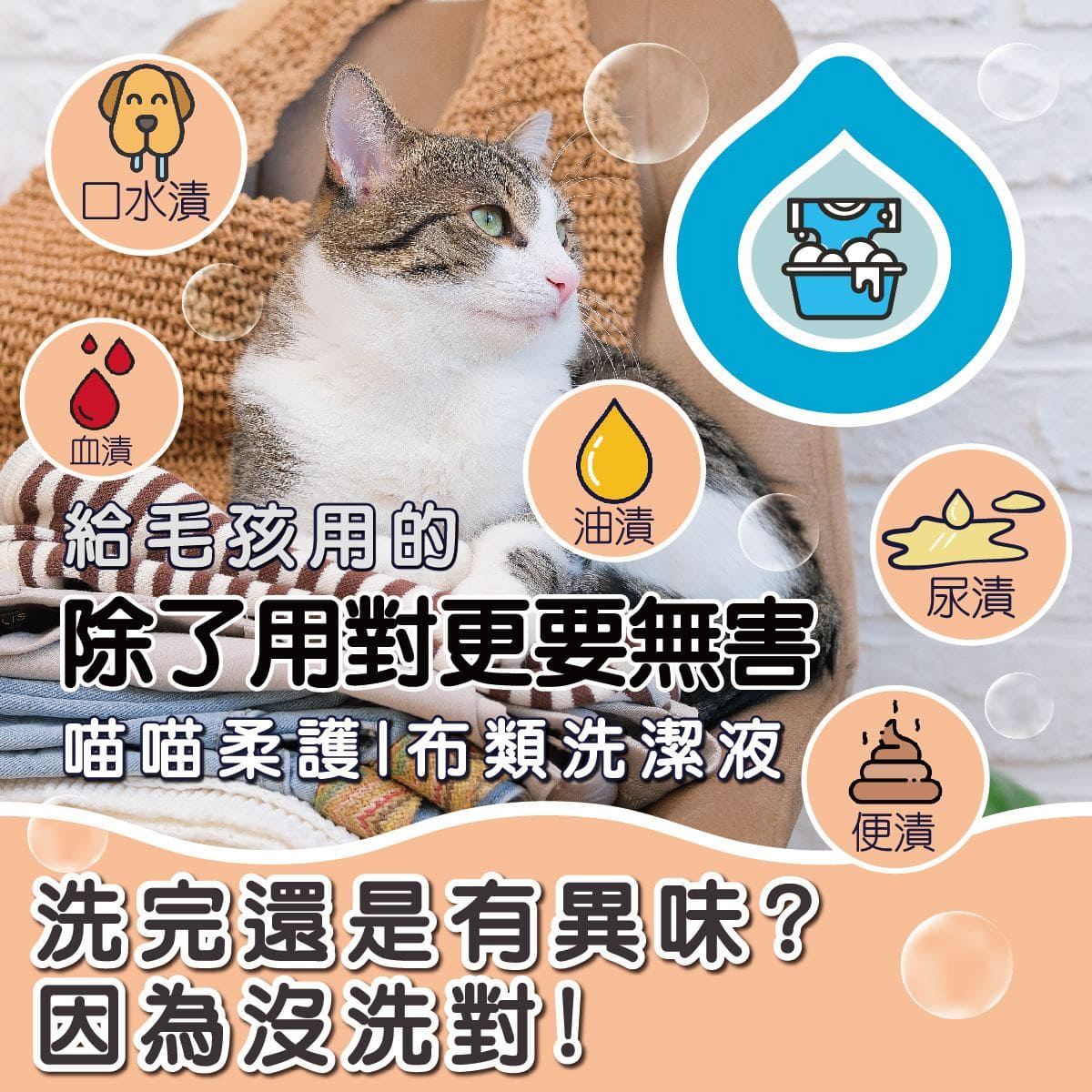 ODOUT - （貓用）布類洗潔液 (1L) X 6件 (91603863X6)