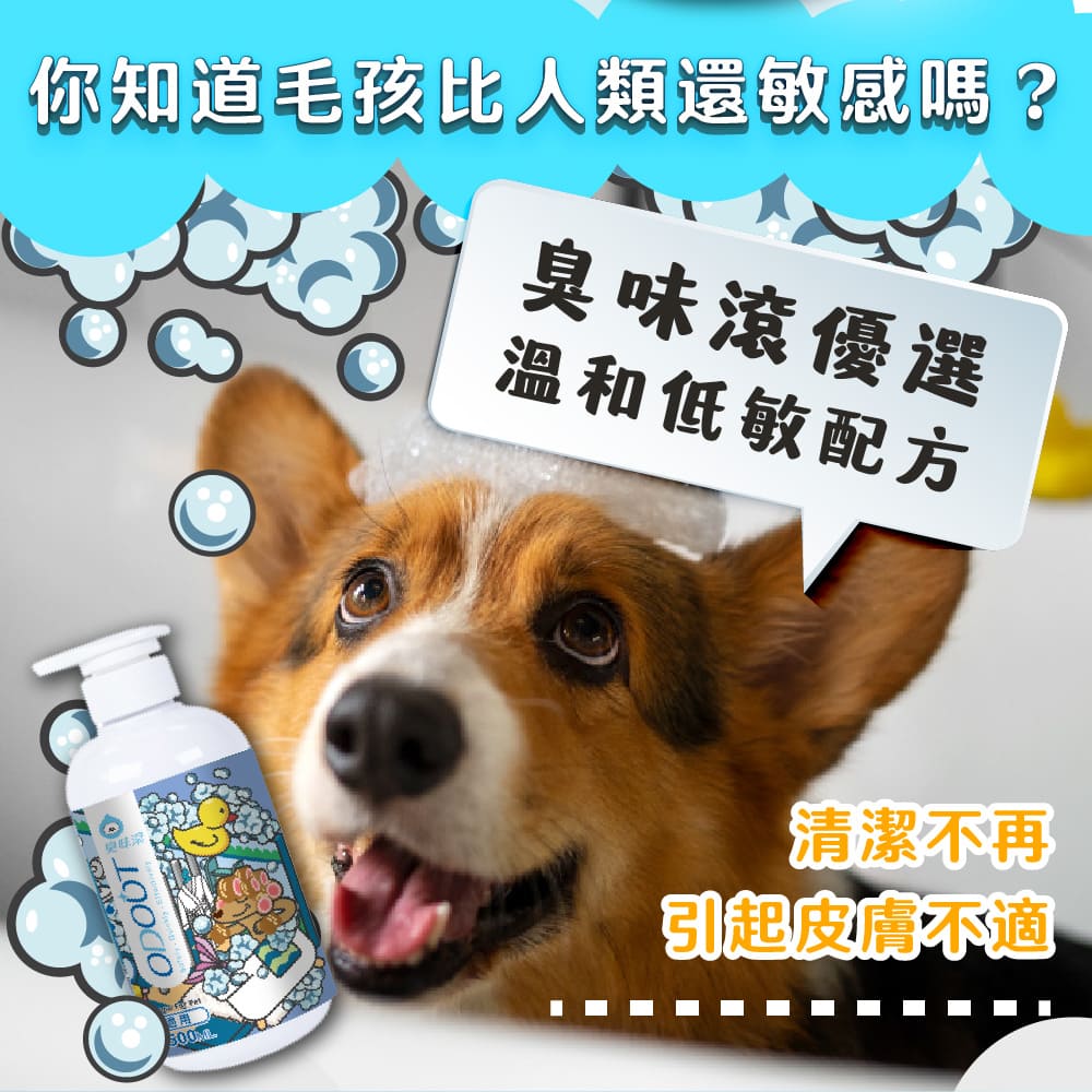 ODOUT - （犬貓適用）寵物無香味低敏除臭洗毛液 (0.5L) X 6件 (91603875X6)