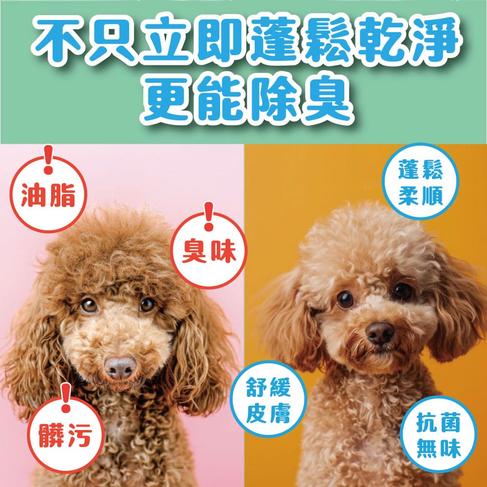 ODOUT - （犬貓適用）寵物天然除臭清潔乾洗粉 (100g) X 54件 (91603877X54)