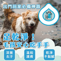 ODOUT - （犬貓適用）寵物腳底清潔慕斯 (150ML) (91603879)