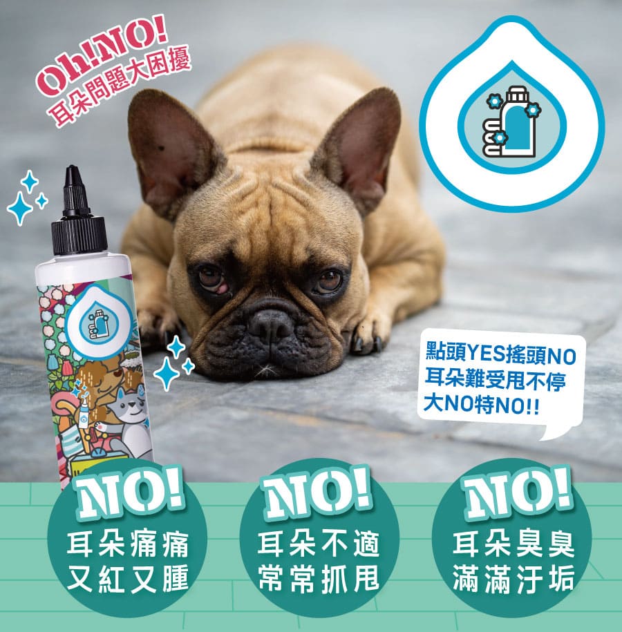 ODOUT - （犬貓適用）Ecocert耳清淨潔耳液 (200ML) X 6件 (91603880X6)