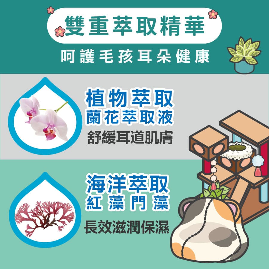 ODOUT - （犬貓適用）Ecocert耳清淨潔耳液 (200ML) X 40件 (91603880X40)